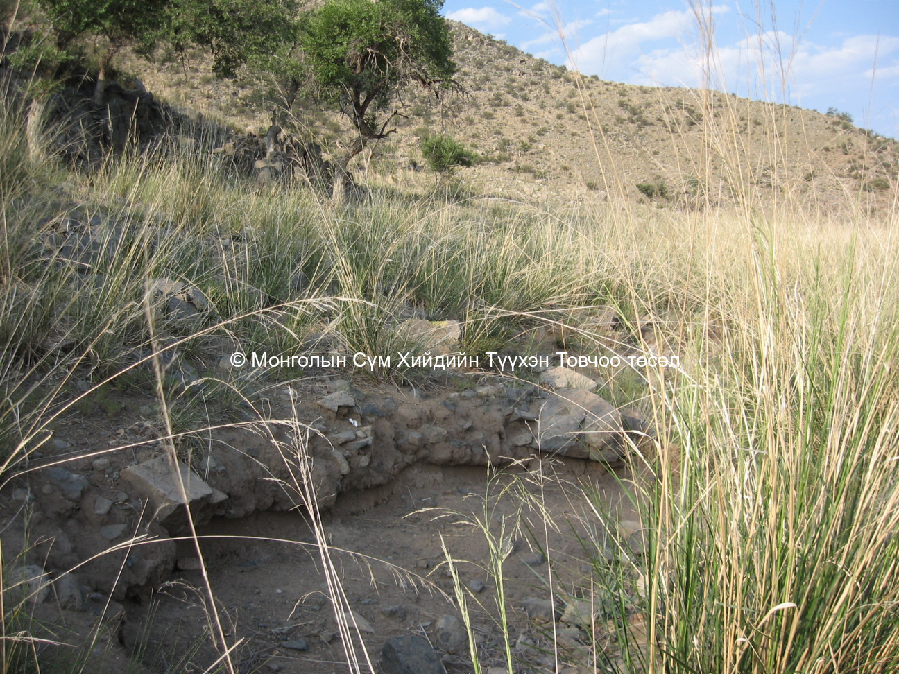 Баруун-Хойд талаас авсан